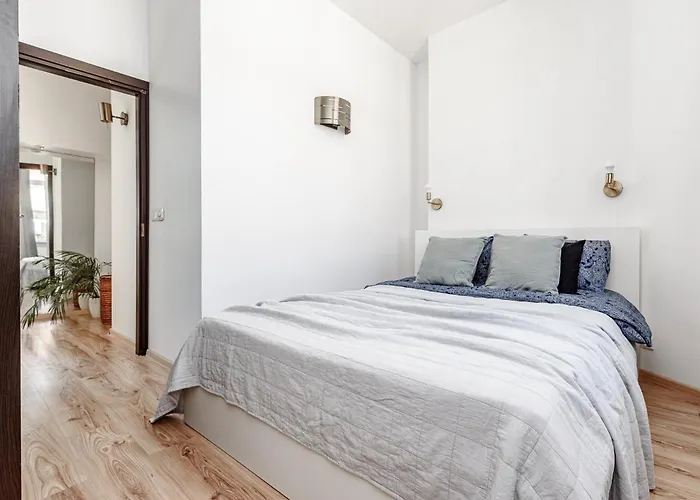 Spacious Centre With Parking Self Check-in * Vilnius